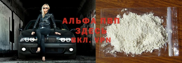 гашик Болотное